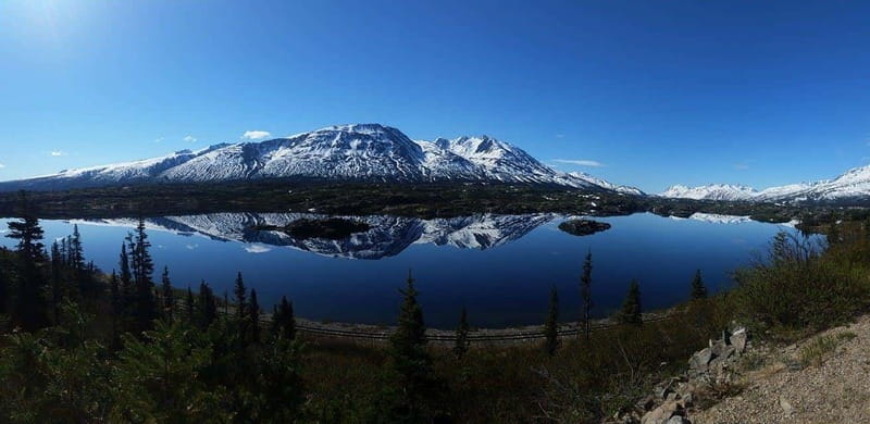 Skagway: Klondike Highway & Yukon Bus Tour with Husky Kennel - The Yukon Suspension Bridge and Tutshi River