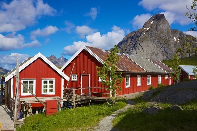 Special Summer Cruise Bus Tour of Lofoten - What this Lofoten cruise excursion actually feels like