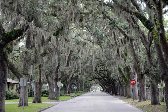 St. Augustine Hop-On Hop-Off Trolley Tour - Mission grounds and the Fountain of Youth