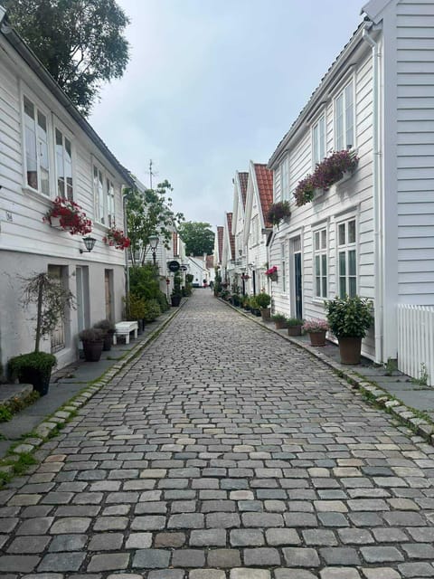 Stavanger: City Highlights Bus and Walking Tour - How much walking should you expect?
