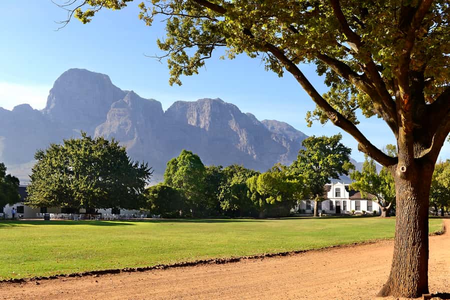 Stellenbosch: Eastern Route Hop-On Hop-Off Wine Tour - Key points for planning your wine day