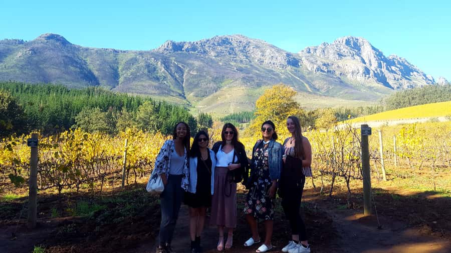 Stellenbosch: Eastern Route Hop-On Hop-Off Wine Tour - Planning the stops: five estates, very different rhythms