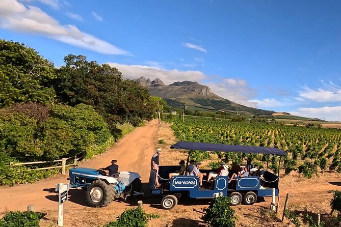 Stellenbosch Wine Tractor hop-on-hop off wine tasting tour - Key points to know before you go
