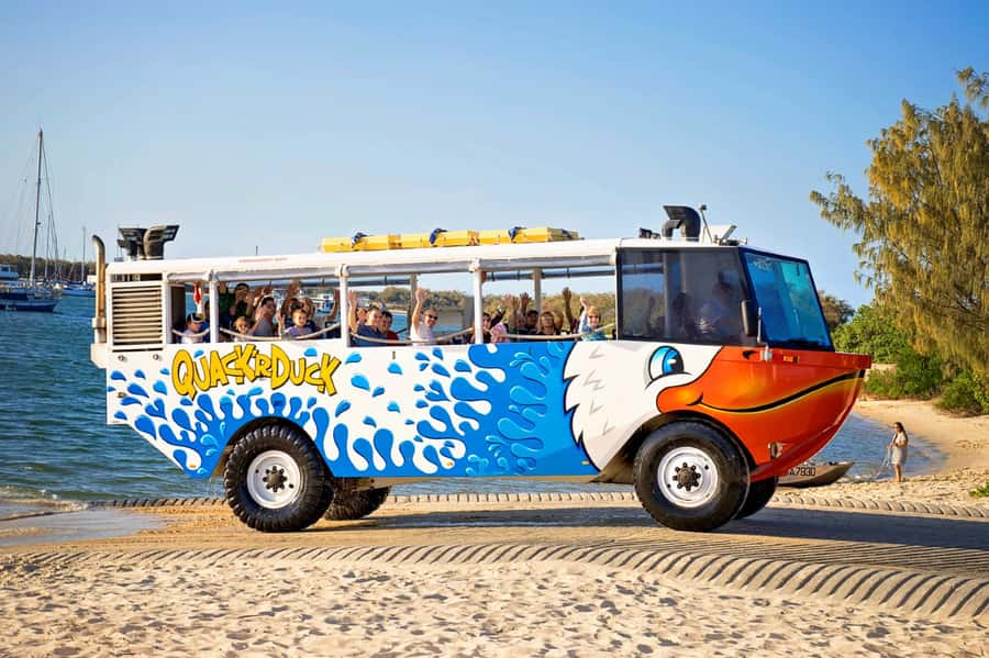 Surfers Paradise: Guided Gold Coast Amphibious Bus Tour - Wildlife and the return to Surfers Paradise
