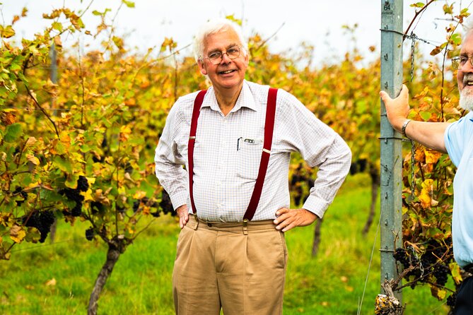 Sussex Vineyard & Winery Bus Tour on Iconic Vintage London Bus - A Sussex picnic with a few qualifications