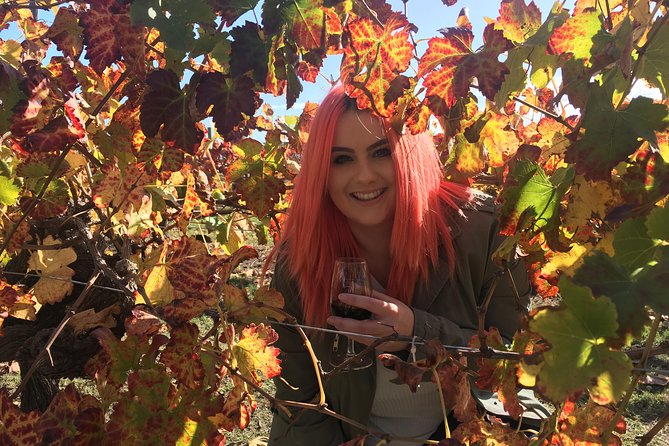 Swan Valley Winery Experience - Full Day Coach Tour - Lancaster Wines and cheese among the vines
