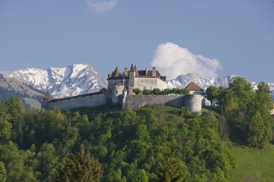 Switzerland: Train, Bus, Boat Travel Pass Flex - Panoramic trains, including the Glacier Express and Bernina Express