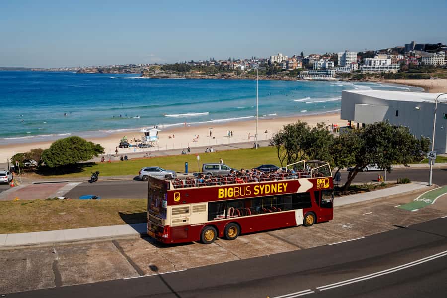 Sydney: Big Bus Hop-On Hop-Off Tour with Optional Cruise - The red City Route from Circular Quay