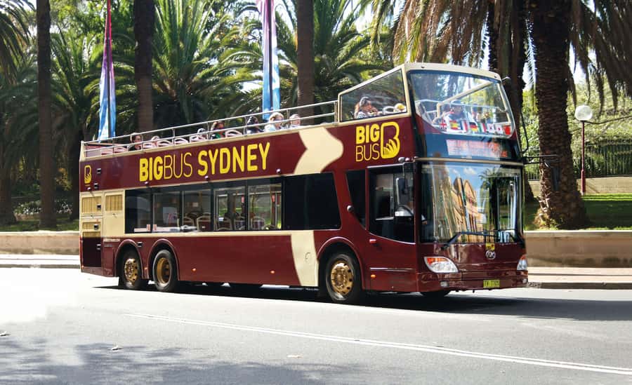 Sydney: Big Bus Hop-On Hop-Off Tour with Optional Cruise - Stops, staff, and practical snags