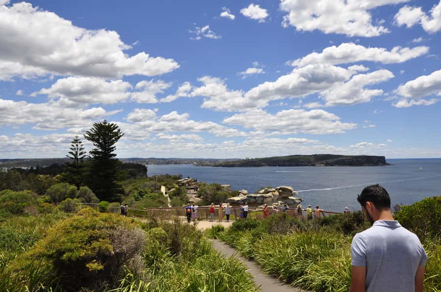 Sydney: City Highlights Guided Bus Tour - Time, comfort, and practical limits