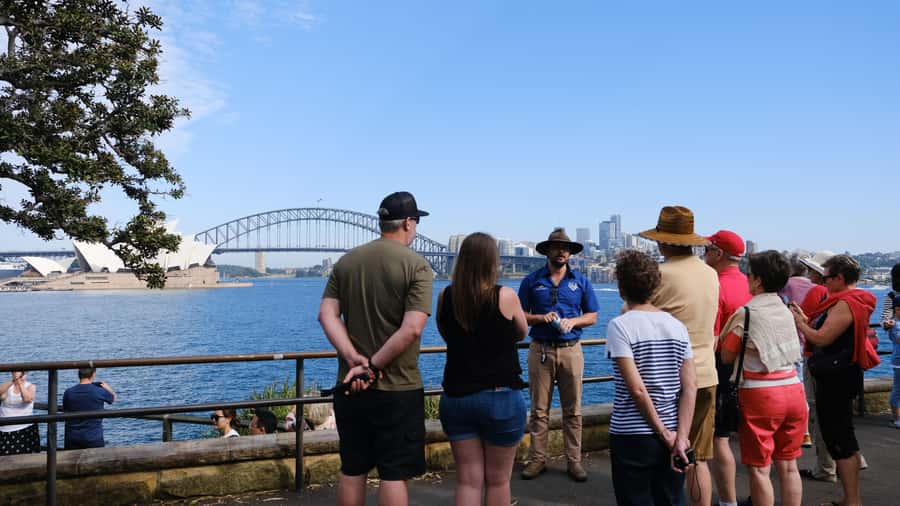 Sydney: Morning Sightseeing Bus to Bondi with Lunch Cruise - Lunch on Sydney Harbour for 2.25 hours
