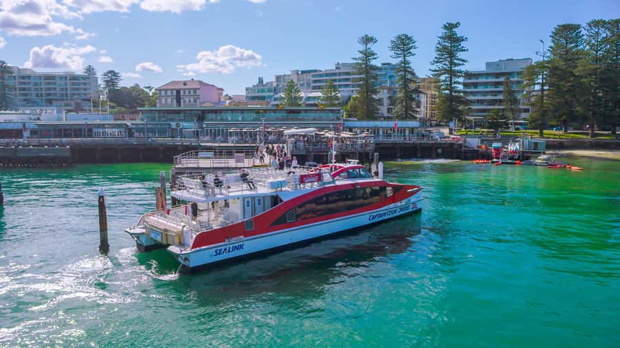 Sydney: Whale Watching & Hop On Hop Off Cruise Package - Manly: a change of pace across the harbour