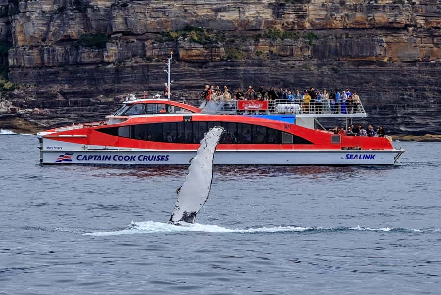 Sydney: Whale Watching & Hop On Hop Off Cruise Package - A sensible two-day plan