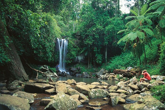 Tamborine Mountain - Hop On Hop Off - From Brisbane - Key points before you book