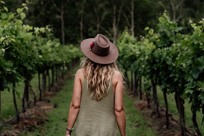 Tamborine Mountain - Hop On Hop Off - From Brisbane - From Brisbane to Tamborine Mountain