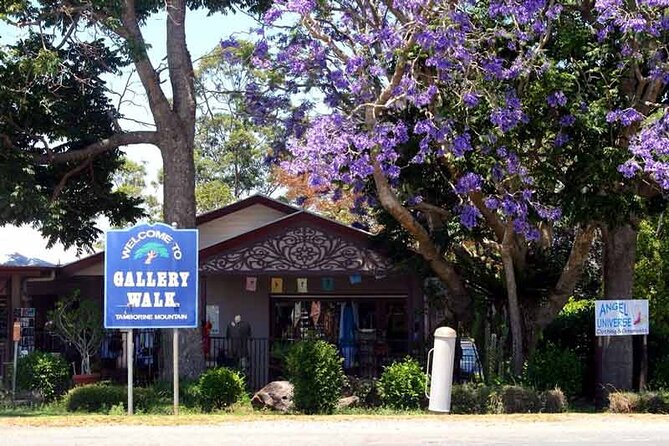 Tamborine Mountain - Hop On Hop Off - From Brisbane - The drivers are part of the value
