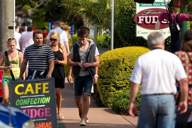 Tamborine Mountain - Hop On Hop Off - From Brisbane - Who should book this Tamborine Mountain day?