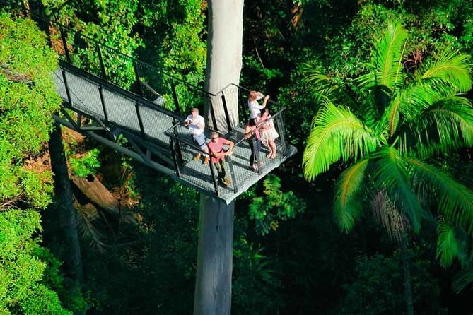 Tamborine Rainforest Skywalk + Hop on Hop off Bus - The morning ride from the Gold Coast