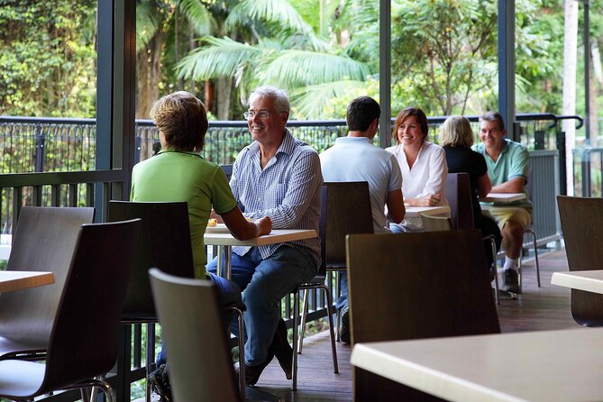 Tamborine Rainforest Skywalk + Hop on Hop off Bus - Who will enjoy this format most?