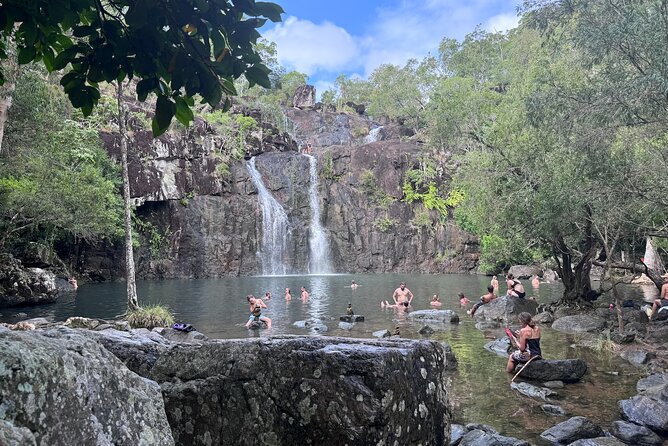 The Airlie Sightseeing Bus – (Cruise-Ship Friendly) - Why this tour works when your time is short