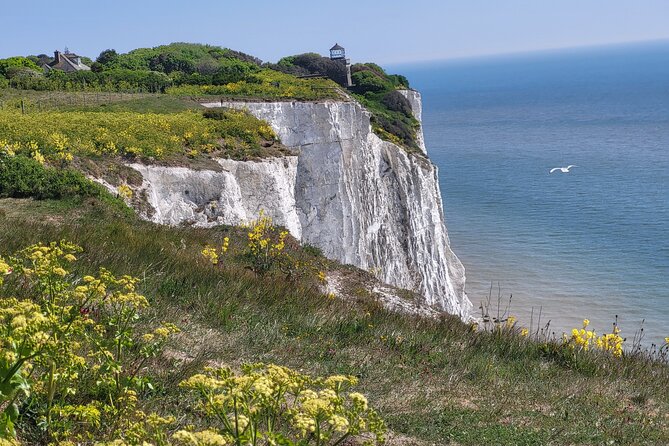 The Best of Kent: a private 3 hour minibus tour with an expert - Key things to know before booking