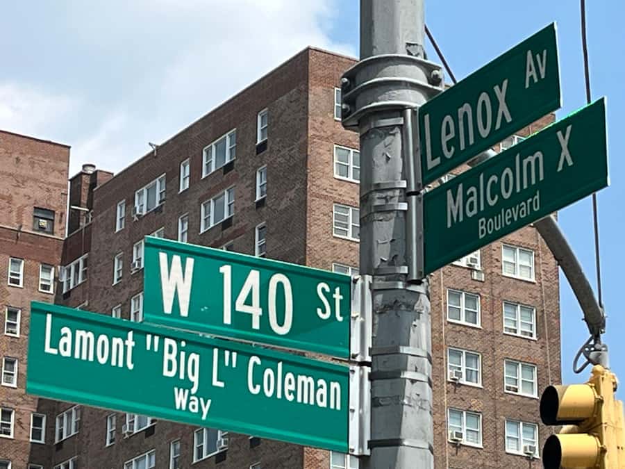 The Birthplace of Hip Hop Bus Tour - Who will enjoy it most?