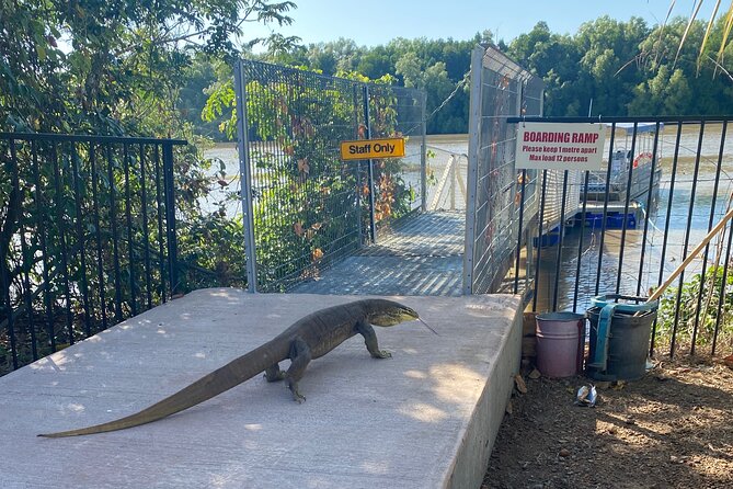 The Croc Bus to the Famous Jumping Crocodile Cruise - Why this Darwin crocodile tour works so well