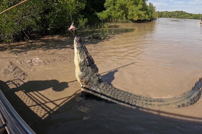 The Croc Bus to the Famous Jumping Crocodile Cruise - The guides make the road time count