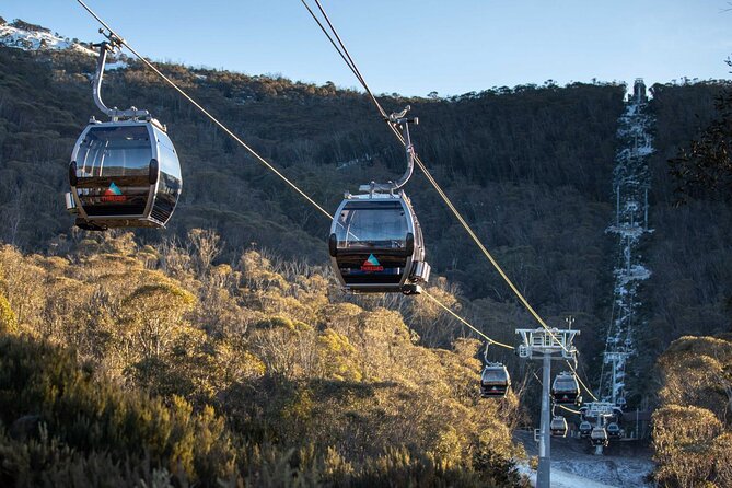 Thredbo or Perisher Bus Trip from Canberra - Bullocks Flat and the Perisher option
