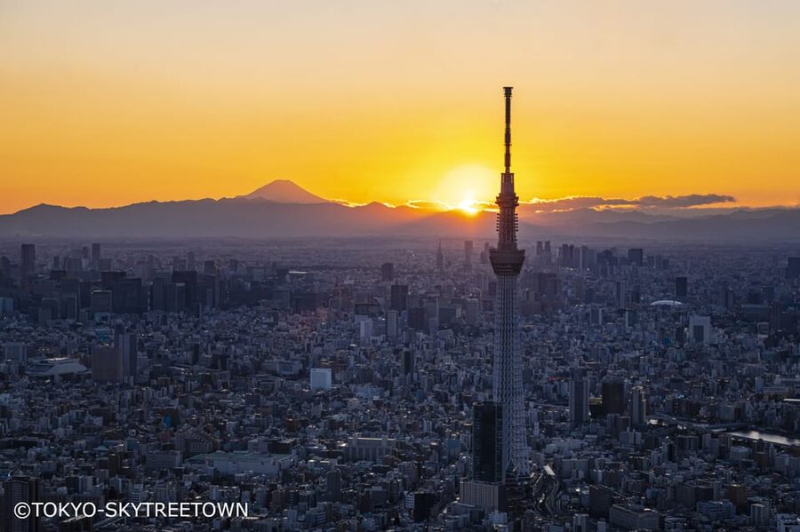 Tokyo: 1 Day Bus Tour with Meiji-Jingu,Odaiba,lunch&Skytree - Why this tour works for a first day in Tokyo