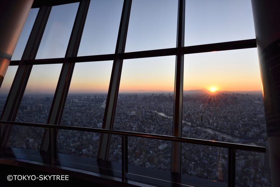 Tokyo: 1 Day Bus Tour with Meiji-Jingu,Odaiba,lunch&Skytree - Odaiba and Rainbow Bridge: Tokyo’s modern waterfront