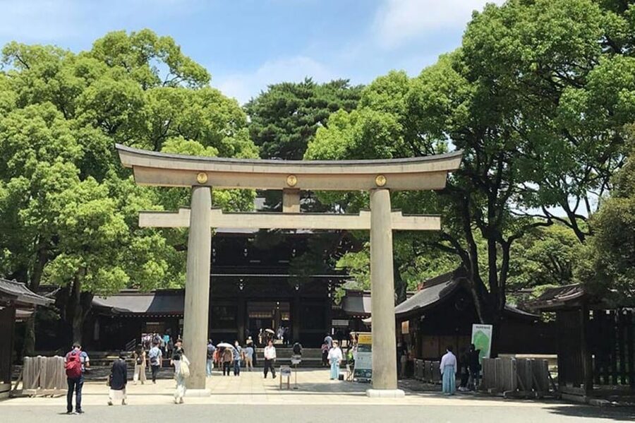 Tokyo: 1 Day Bus Tour with Meiji-Jingu,Odaiba,lunch&Skytree - Is the $83 price good value?