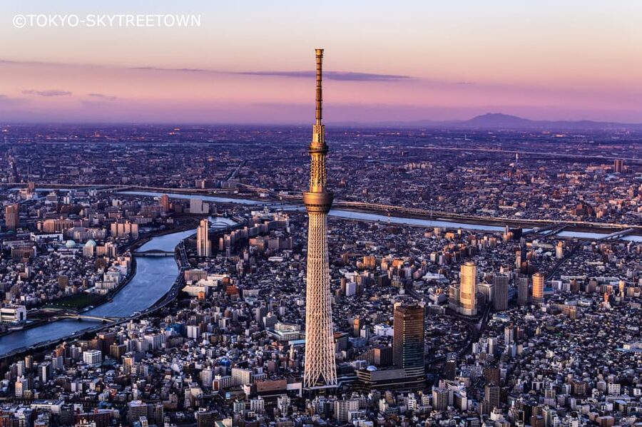 Tokyo: 1 Day Bus Tour with Meiji-Jingu,Odaiba,lunch&Skytree - Meiji Shrine: a quiet start under tall trees