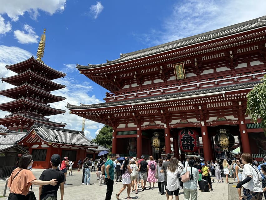 Tokyo: A Half-Day Trip Bus Tour in the Morning - Key points at a glance