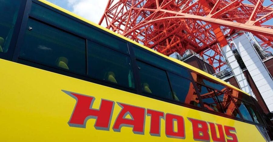 Tokyo: A Half-Day Trip Bus Tour in the Morning - Timing, crowds, and the pace of the stops