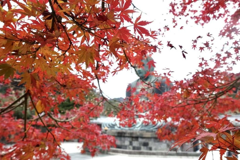 Tokyo: Kamakura & Enoshima Day Trip including Temple Tickets - How the guides shape the day