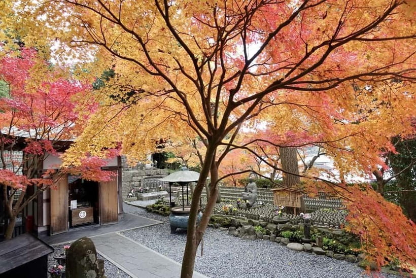 Tokyo: Kamakura & Enoshima Day Trip including Temple Tickets - Tsurugaoka Hachimangu and the old samurai center