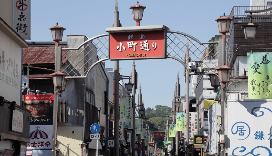 Tokyo: Kamakura & Enoshima Day Trip including Temple Tickets - Hasedera, flowers, and Sagami Bay views