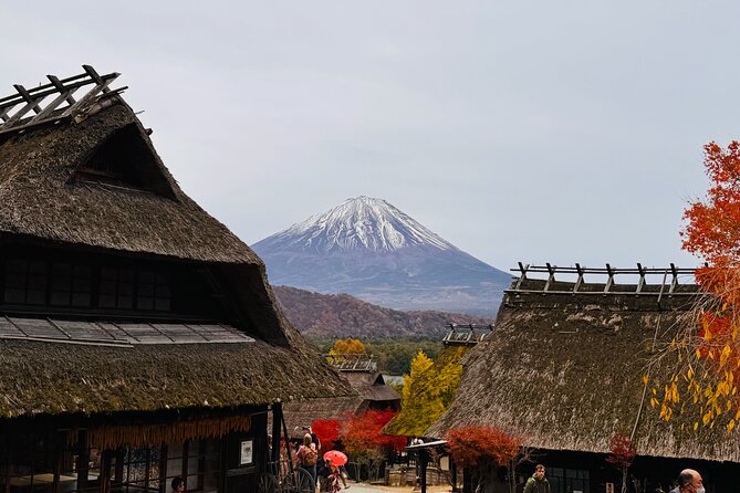 Tokyo: Mt.Fuji & Lake Kawaguchiko 1-Day Bus Tour w/Optional Lunch - Saiko Iyashi no Sato Nenba and old Japan by the lake