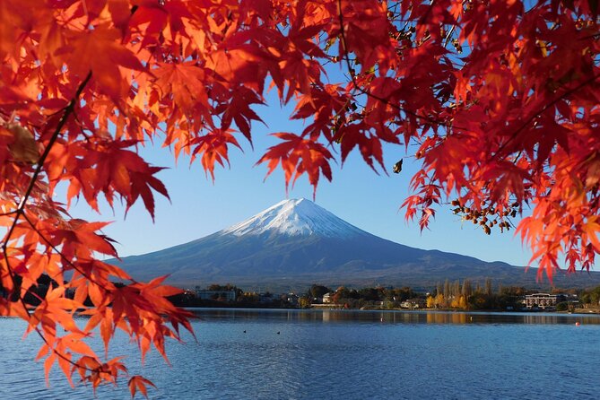 Tokyo: Mt.Fuji & Lake Kawaguchiko 1-Day Bus Tour w/Optional Lunch - Chureito Pagoda and the 398-step test