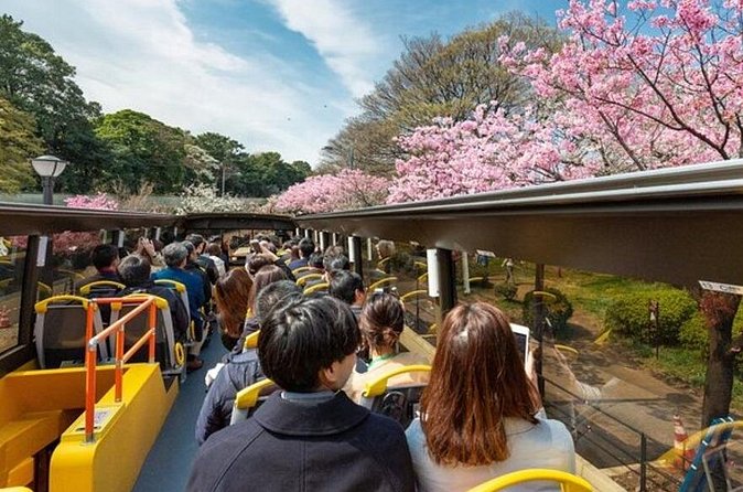 Tokyo: Open Top Sightseeing Bus with Audio Guide - Timing, cancellation, and small details that matter