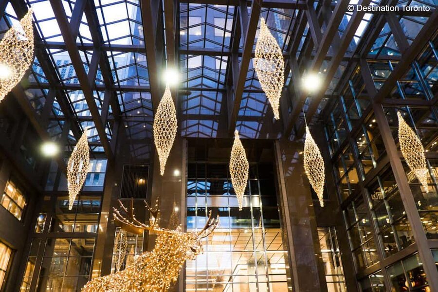 Toronto: Festive Lights Bus Tour - Who will enjoy this best?