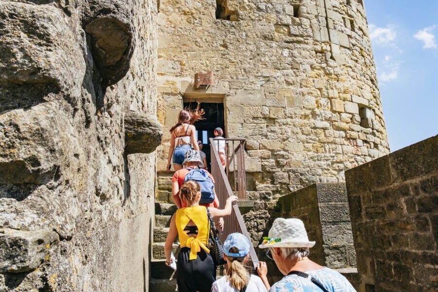 Toulouse: Carcassonne Day Trip by Coach with Audioguide - Who should book this Carcassonne trip?