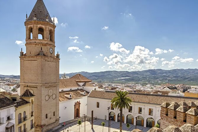 Tourist Bus Velez Malaga to Torre del Mar - The most important warning about the 90-minute promise