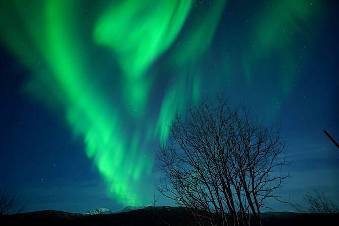 Tromso Aurora Chase by Minibus with Thermal Suit, Snack and Photo - Leaving Tromsø after dark