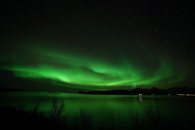 Tromso Aurora Chase by Minibus with Thermal Suit, Snack and Photo - Thermal suits, hot chocolate, and the campfire