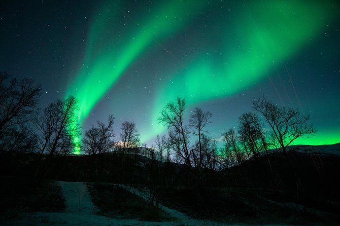 Tromso Aurora Chase by Minibus with Thermal Suit, Snack and Photo - The guides make the biggest difference