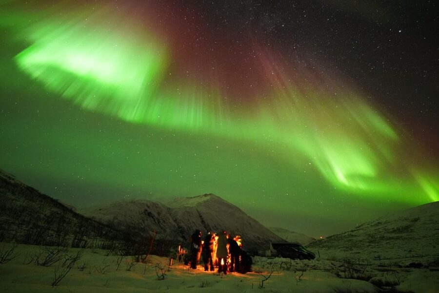 Tromsø: Chase Aurora in Minibus and Free Aurora Portrait - Key points to know before you book