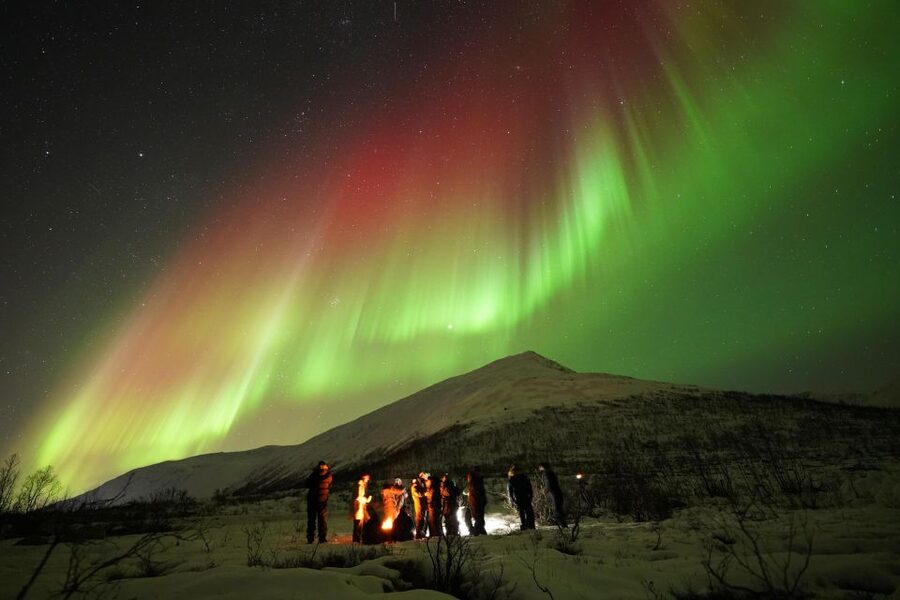 Tromsø: Chase Aurora in Minibus and Free Aurora Portrait - Two hours of Arctic driving