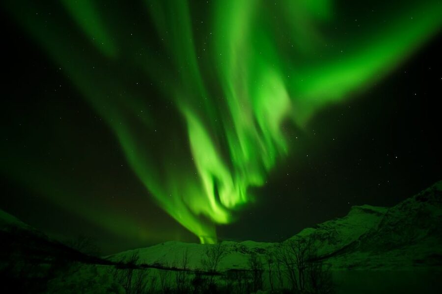 Tromsø: Chase Aurora in Minibus and Free Aurora Portrait - Seeing the aurora with your own eyes